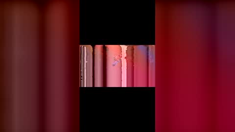 kittypurrrrry online show from 03/02/26, 05:31