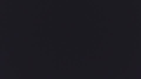 Kitty  online show from 09/16/25, 12:17