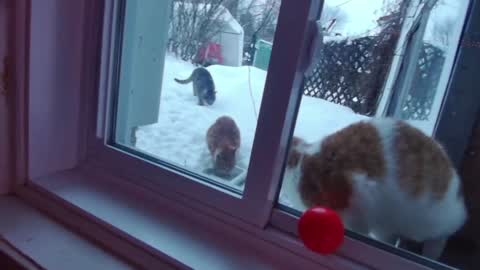 Snapshot of kiveuxmakeu chatting on 12/27/24, 09:11 kiveuxmakeu online show from 12/27/24, 09:11