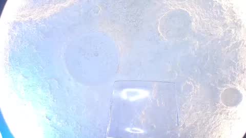 K L O E online show from 09/15/25, 12:05