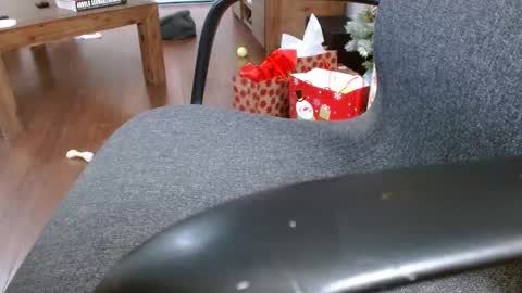 Snapshot of klok6187 chatting on 12/23/24, 04:01 klok6187 online show from 12/23/24, 04:01