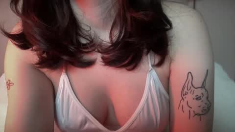 knextdoor online show from 04/01/26, 09:23