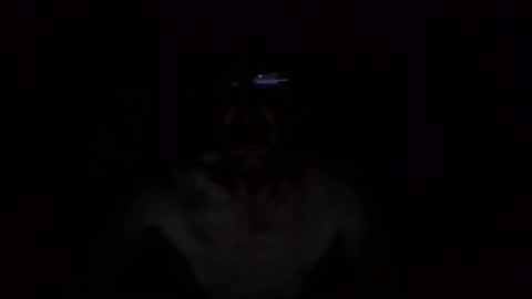 kobolt67 online show from 10/09/25, 04:54