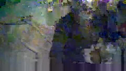koelie1982 online show from 06/08/26, 11:16