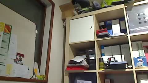 kokin3034 online show from 01/08/25, 01:20