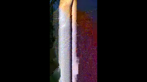 komi235 online show from 02/24/26, 08:01