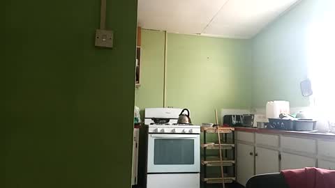 Snapshot of korn4lyfe chatting on 03/01/25, 01:29 Prince makonnen online show from 03/01/25, 01:29