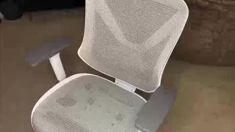 your hairy neighbor online show from 12/16/25, 09:58