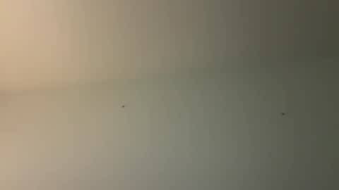 kovapoika online show from 10/23/25, 10:58