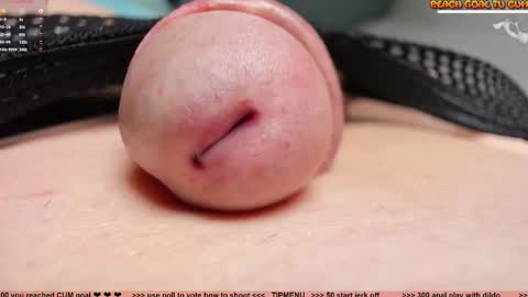 Petra online show from 03/21/26, 09:18