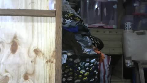 Snapshot of krishasweet chatting on 12/11/24, 03:58 krishasweet online show from 12/11/24, 03:58