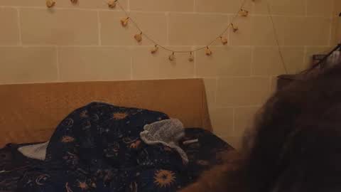 Krypto hethey online show from 10/28/25, 10:56