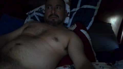 Snapshot of kush40 chatting on 02/17/26, 07:42 kush40 online show from 02/17/26, 07:42