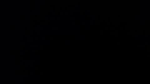 kvicali online show from 12/19/24, 11:14