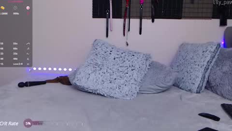 Lily Paw  online show from 01/20/25, 11:32