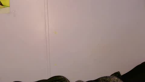 Lily online show from 05/05/26, 09:17