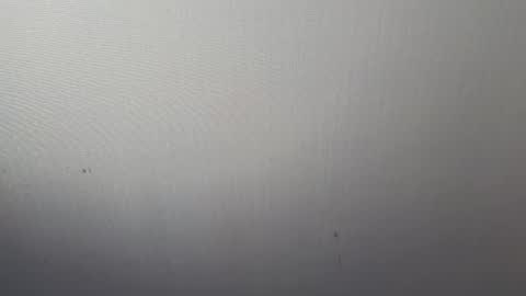 Adonis online show from 03/07/25, 04:02