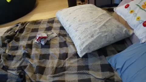 lacey_rose6 online show from 07/01/26, 08:05