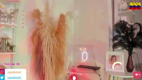 Snapshot of lacolorina_ chatting on 11/05/25, 04:07 Colorina online show from 11/05/25, 04:07