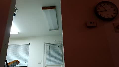 Snapshot of lacybell chatting on 01/14/25, 02:50 lacybell online show from 01/14/25, 02:50