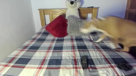 Akyra  online show from 10/25/25, 01:07