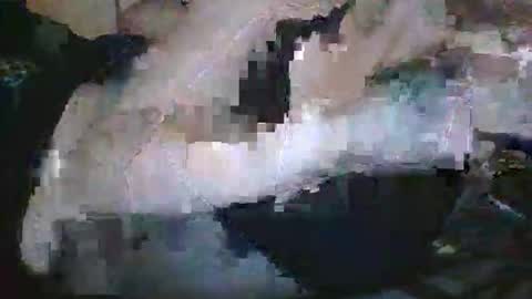 lady24x online show from 04/29/26, 02:48