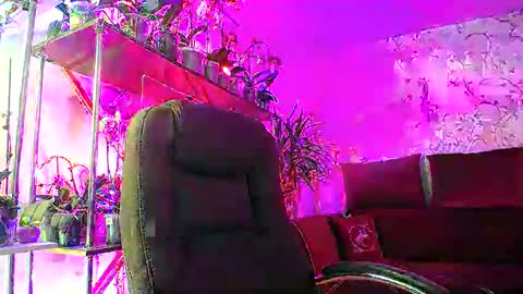 Snapshot of lady_gloria chatting on 02/15/25, 06:44 Lady Gloria online show from 02/15/25, 06:44