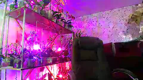 Snapshot of lady_gloria chatting on 02/22/25, 08:40 Lady Gloria online show from 02/22/25, 08:40