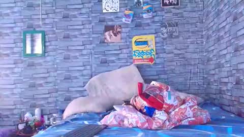 Lady godss online show from 12/01/25, 07:08