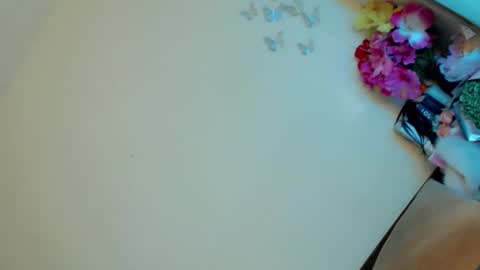 Stella online show from 02/23/25, 10:53