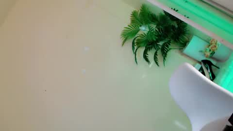 Stella online show from 09/27/25, 11:32