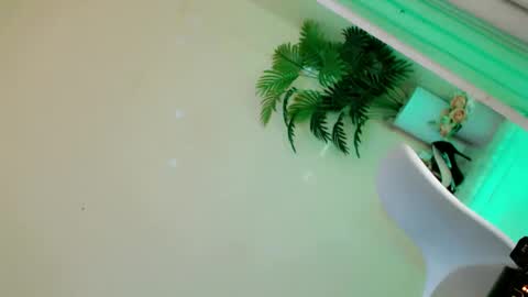 Stella online show from 09/28/25, 10:26