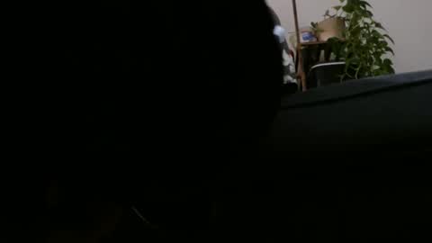 Snapshot of laidback_and_chill chatting on 12/02/24, 06:41 Rick online show from 12/02/24, 06:41