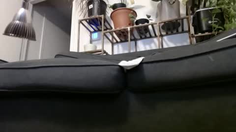 Snapshot of laidback_and_chill chatting on 12/23/24, 04:33 Rick online show from 12/23/24, 04:33