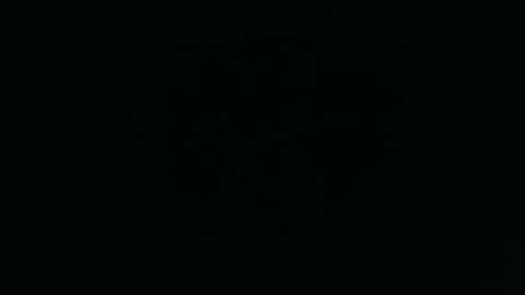 ANNIE online show from 12/01/25, 05:45