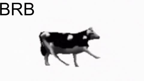 just call me Lana  and her security online show from 01/22/25, 02:24