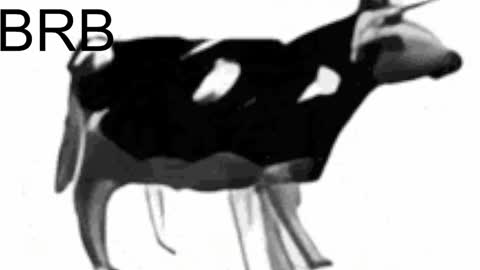 just call me Lana  and her security online show from 02/06/25, 08:07