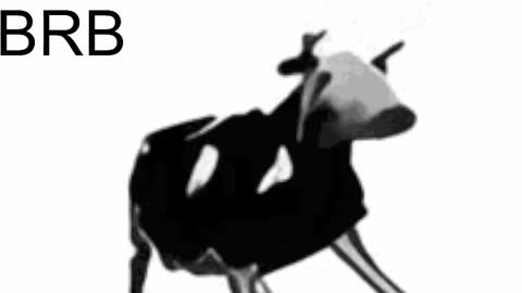 just call me Lana  and her security online show from 02/15/25, 05:28