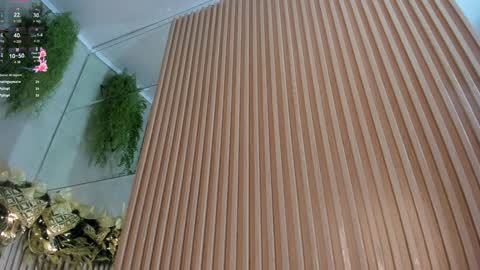 lana_lann online show from 12/28/24, 03:37