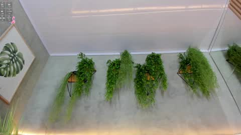 lana_lann online show from 01/09/25, 03:34