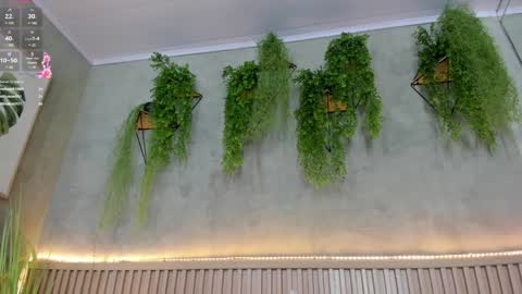 lana_lann online show from 01/10/25, 05:56