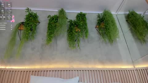 lana_lann online show from 02/02/25, 05:59