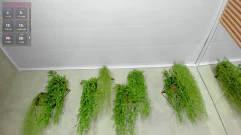 lana_lann online show from 09/28/25, 11:48