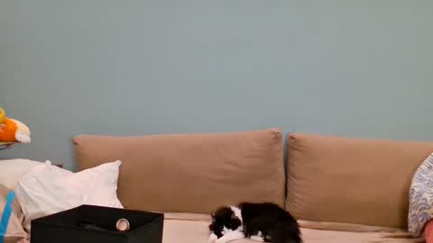 Lana online show from 05/24/26, 11:59