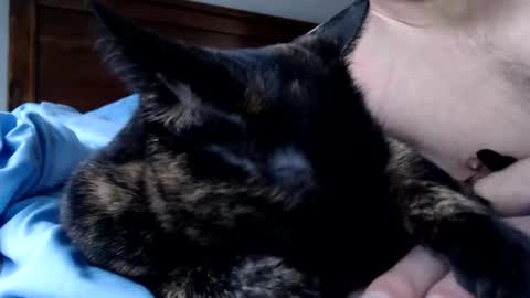 Lance online show from 12/16/25, 04:12