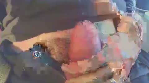 joseph online show from 11/29/25, 08:39