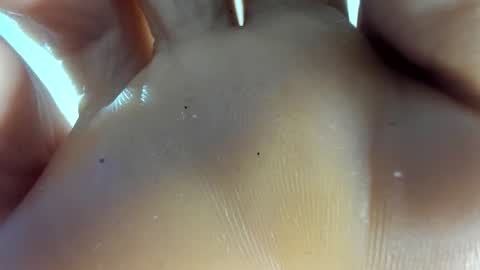 Afrodita online show from 11/07/25, 12:54