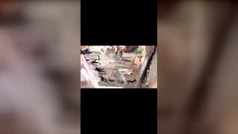 latinbulldaddy88036 online show from 03/09/26, 09:08