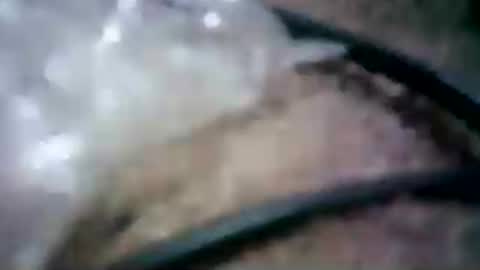 latinounder online show from 07/24/26, 08:45