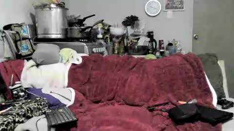 Snapshot of lauradecuada2 chatting on 02/08/26, 04:38 lauradecuada2 online show from 02/08/26, 04:38